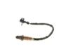 Oxygen Sensor -
