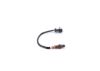 Oxygen Sensor -