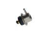 Fuel Pressure Regulator -