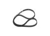 Timing Belt -