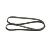V-Ribbed Belt VAG - 03F 260 849 A - 6PK1693