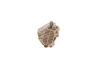 Fuel Pump -