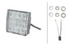 Reverse Light -