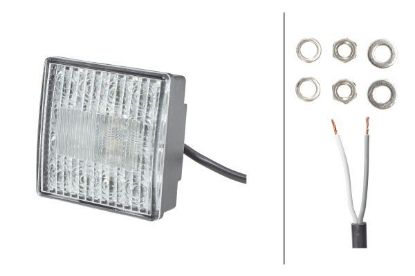 Reverse Light -