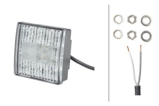 Reverse Light -