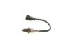 Oxygen Sensor -
