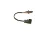 Oxygen Sensor -