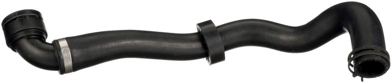 Radiator Hose -