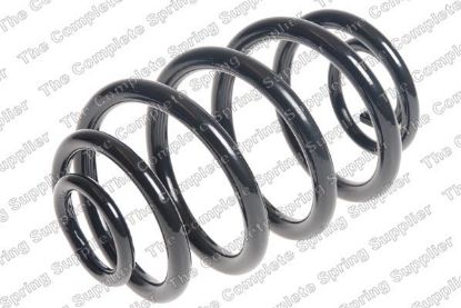 Suspension Spring tagum. RENAULT
