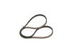 Timing Belt -