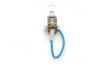 Bulb, spotlight H3 MasterDuty