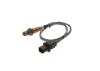 Oxygen Sensor -