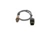 Oxygen Sensor -