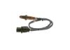 Oxygen Sensor -