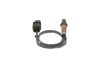 Oxygen Sensor -