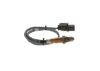 Oxygen Sensor -