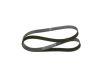 V-Ribbed Belt -