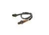 Oxygen Sensor -