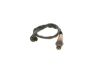 Oxygen Sensor -