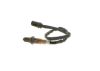 Oxygen Sensor -