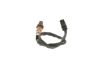 Oxygen Sensor -