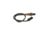 Oxygen Sensor -