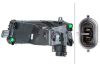 Front Fog Light -