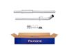 Centre Muffler -