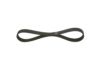 V-Ribbed Belt -