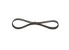 V-Ribbed Belt -