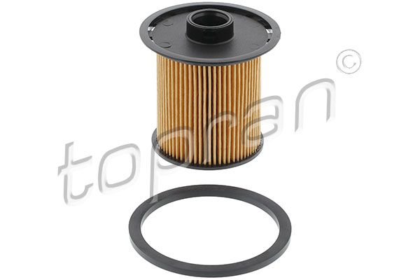 Fuel Filter Renault/Dacia