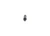 Nozzle and Holder Assembly -