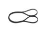 V-Ribbed Belt -