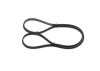 V-Ribbed Belt -