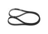 Timing Belt -