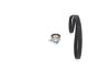 Timing Belt Kit -