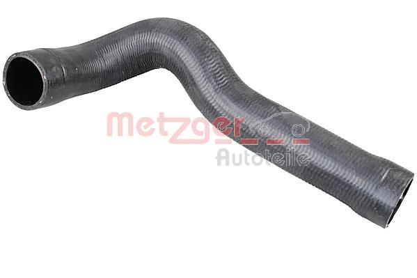 Radiator Hose -