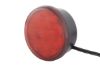 Tail Light Assembly -