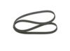 V-Ribbed Belt -