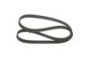 V-Ribbed Belt -