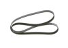 V-Ribbed Belt -
