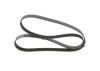 V-Ribbed Belt -