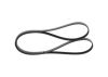 V-Ribbed Belt -