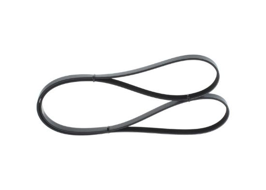 V-Ribbed Belt -