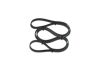 V-Ribbed Belt -