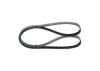 V-Ribbed Belt -