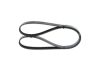 V-Ribbed Belt -