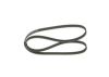 V-Ribbed Belt -