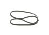 V-Ribbed Belt -