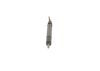 Nozzle and Holder Assembly -